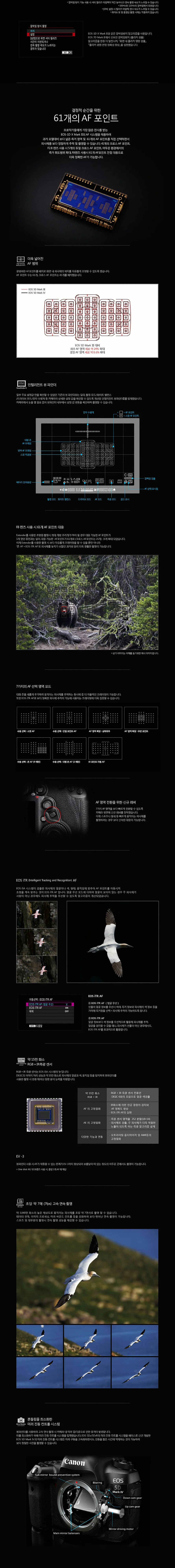 5DMK4 오막포