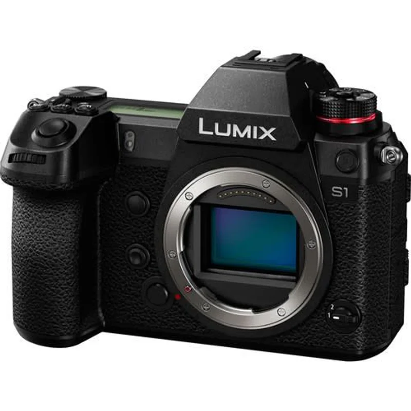 Lumix S1 카메라