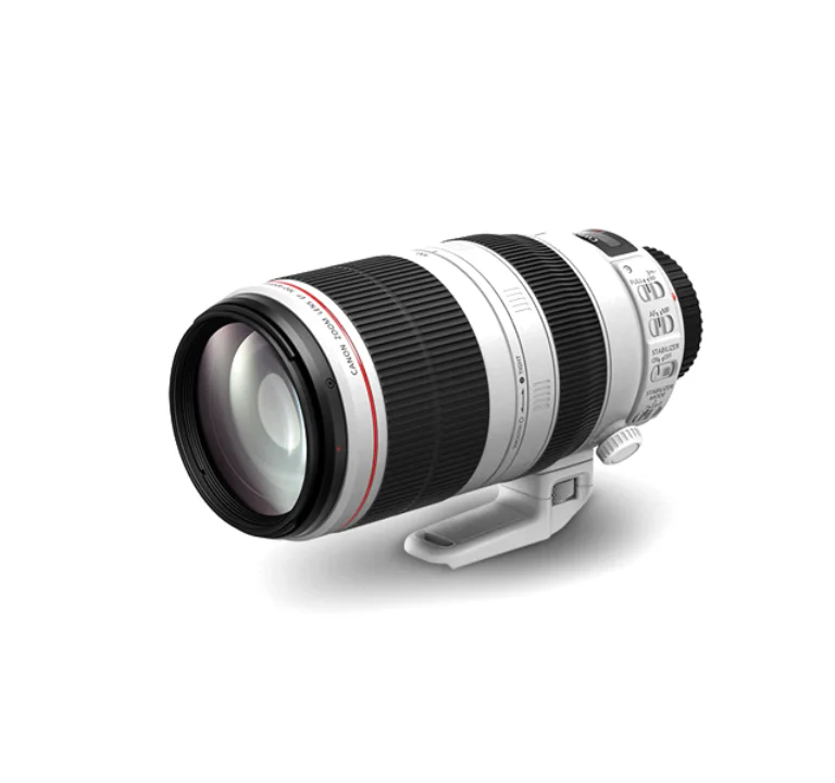 EF 100-400mm F4.5-5.6L IS II USM 백사투